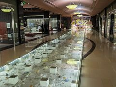 -青岛贝壳博物馆