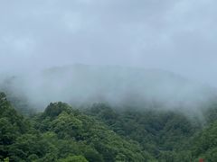 -牛背梁国家森林公园