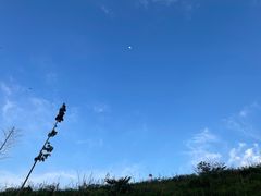 -鹿亭中村