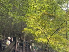-白马涧龙池景区
