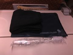 -新加坡航空公司(ION)