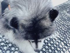 -长白山万达国际滑雪场