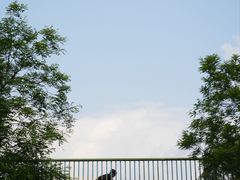 -白鹭湾湿地公园