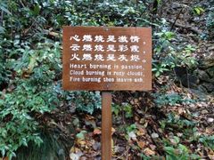 -天明山温泉大酒店