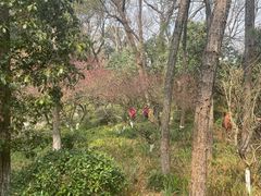 -西湖天地