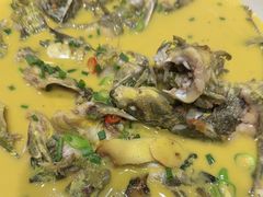 -后湖小院·乡野田园菜