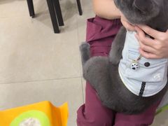 -瑞鹏·疫苗·绝育·宠物医院(金沙洲店)