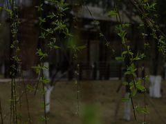 -沐仙湖湿地公园