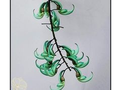 -华南国家植物园-售票处