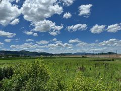 -伊藤久右卫门(宇治本店)