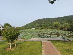 -龙寺生态园