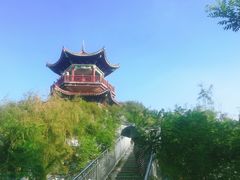 -南大港湿地风景区