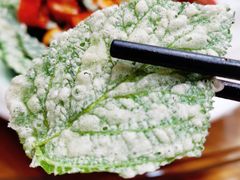 -小小饭店·休闲农庄·安吉松树林里的农家菜