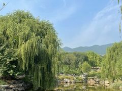 -北京西山国家森林公园