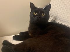 -嘟宝宠物生活馆(白桦林居店)