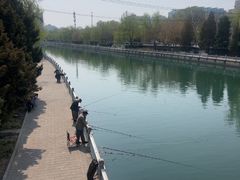 -庆丰包子铺(潘家园店)