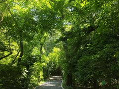 -辽宁友谊宾馆