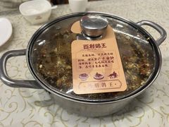 -百利鸽王(紫薇路店)