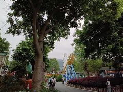 -森波拉奇妙世界