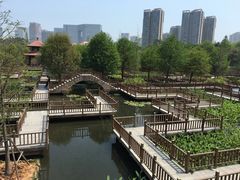 -五缘湾湿地公园