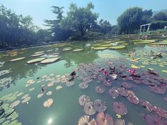 -国家植物园南园