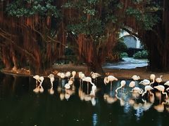 -九龙公园