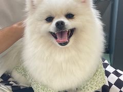 -怪兽屋·羊驼·猫咖·狗咖(俊华广场店)