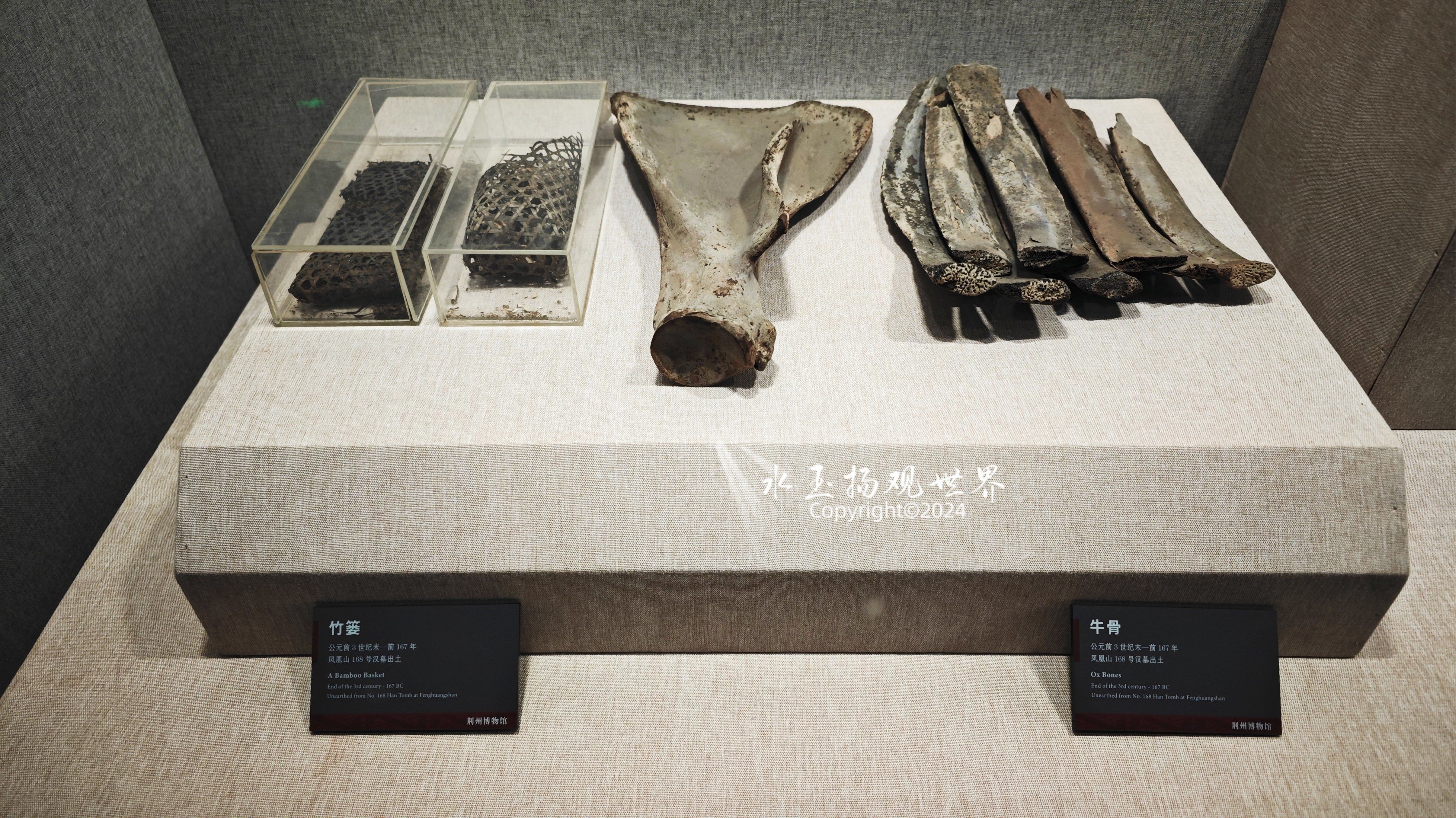 荆州博物馆镇馆之宝,五大夫遂千年不腐尸