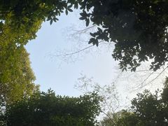 -苏州环秀晓筑养生度假村
