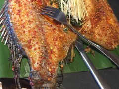 -云海肴·汽锅鸡·云南菜(天山百盛优客店)