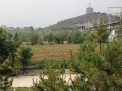 -永定河休闲森林公园