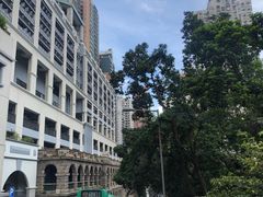 -香港佐治五世纪念公园