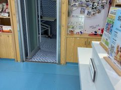 -宠颐生宠物医院·异宠猫科内科·诊疗中心宠巢店