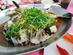 -阿兴生鱼片(大光路店)