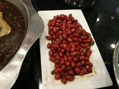 -蝎王府羊蝎子(西直门店)