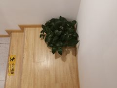 -麦悠悠·SPA·推拿(太阳山路店)