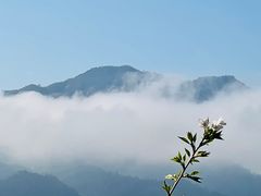 -杭州桐庐康莱德酒店西餐厅-舍