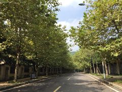 -重庆医科大学附属第一医院(金山院区)