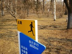 -黛秀湖公园