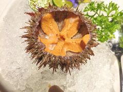 -黑宝石西餐厅(汇励99城市公园店)