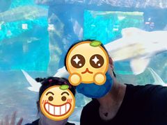 -重庆欢乐海底世界