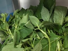 -桐庐窄溪野鱼馆
