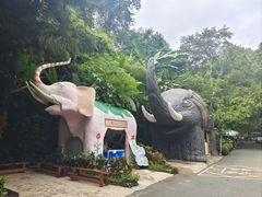 -野象谷景区