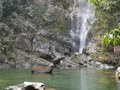 -鼎湖山风景区