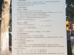 -济南市胜利大街小学