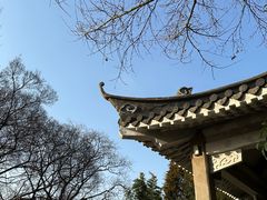 -南京古林公园