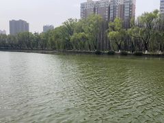 -宝鸡植物园