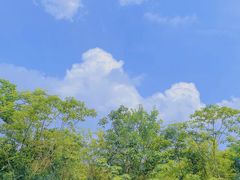 -天屿湖