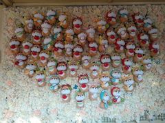 -柴犬高等学院·狗咖·柴犬售卖·宠物训练