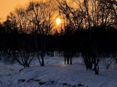 -塞罕坝国家级自然保护区